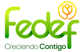 FEDEF